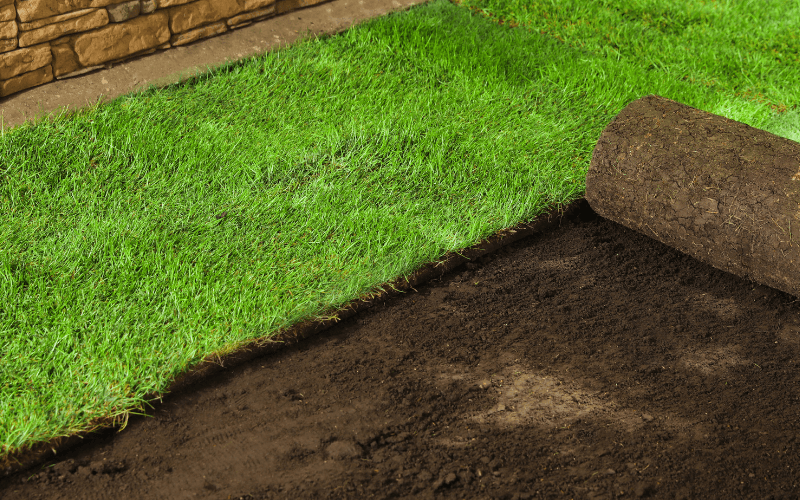 Sod Installation Services in Atascocita, TX