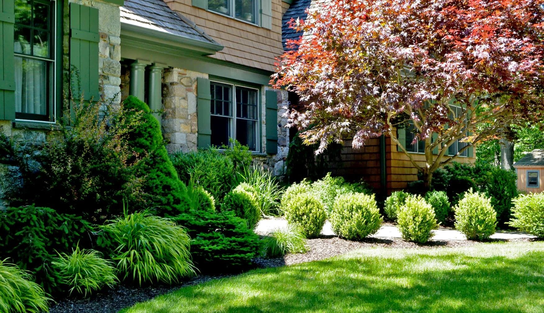 Tree & Shrub Planting Services in Atascocita, TX