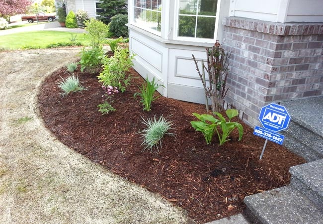 Mulch Installation project 2